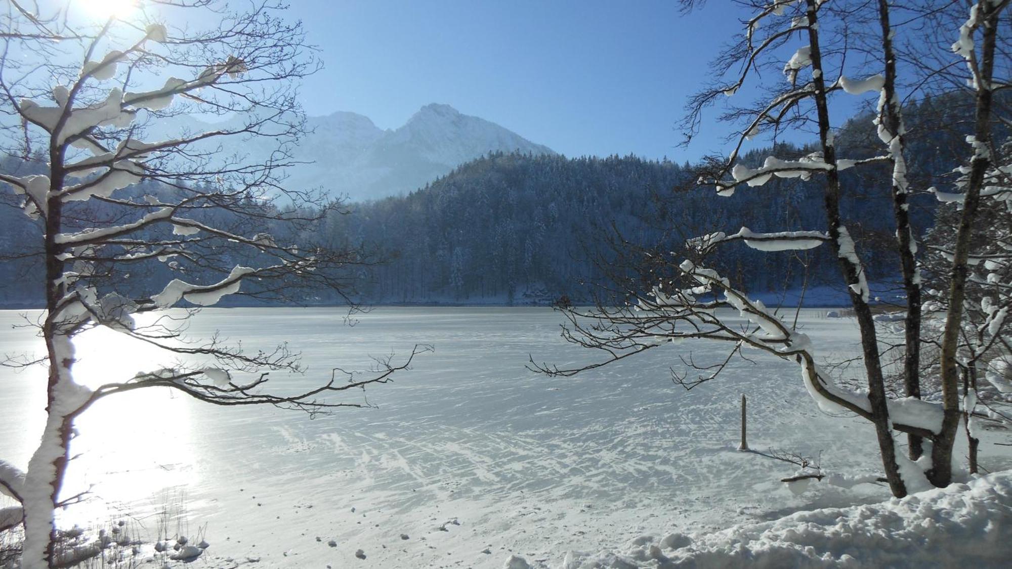 Fw Weissensee 44 フュッセン エクステリア 写真